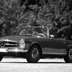 280 SL ohne Dach (BW)