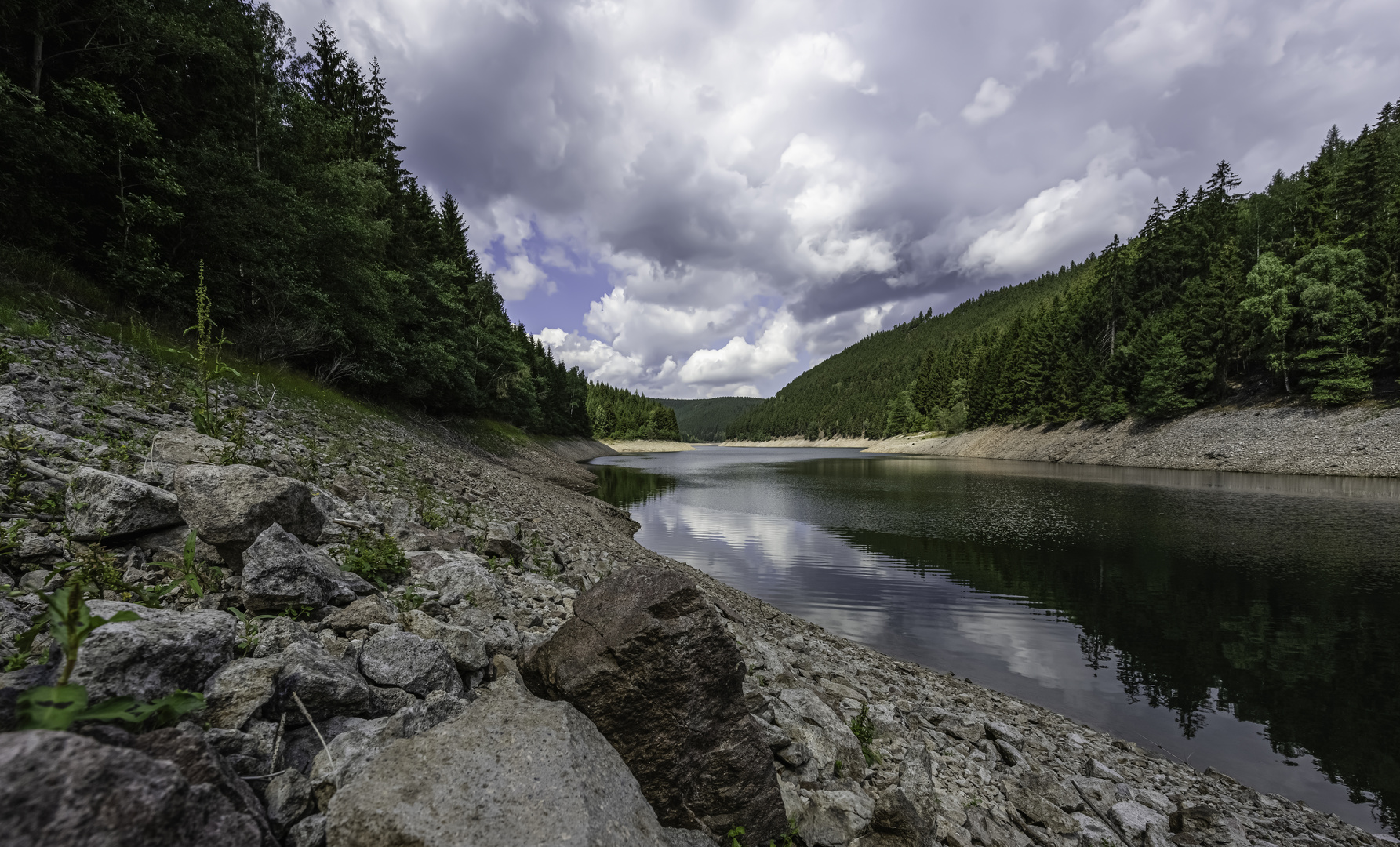 280 Sperrenarm am Silbergrund (beabeitet)