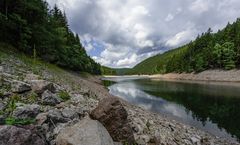 280 Sperrenarm am Silbergrund (beabeitet)