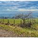 [Staufen I Rheinebene I Herbstlandschaft]