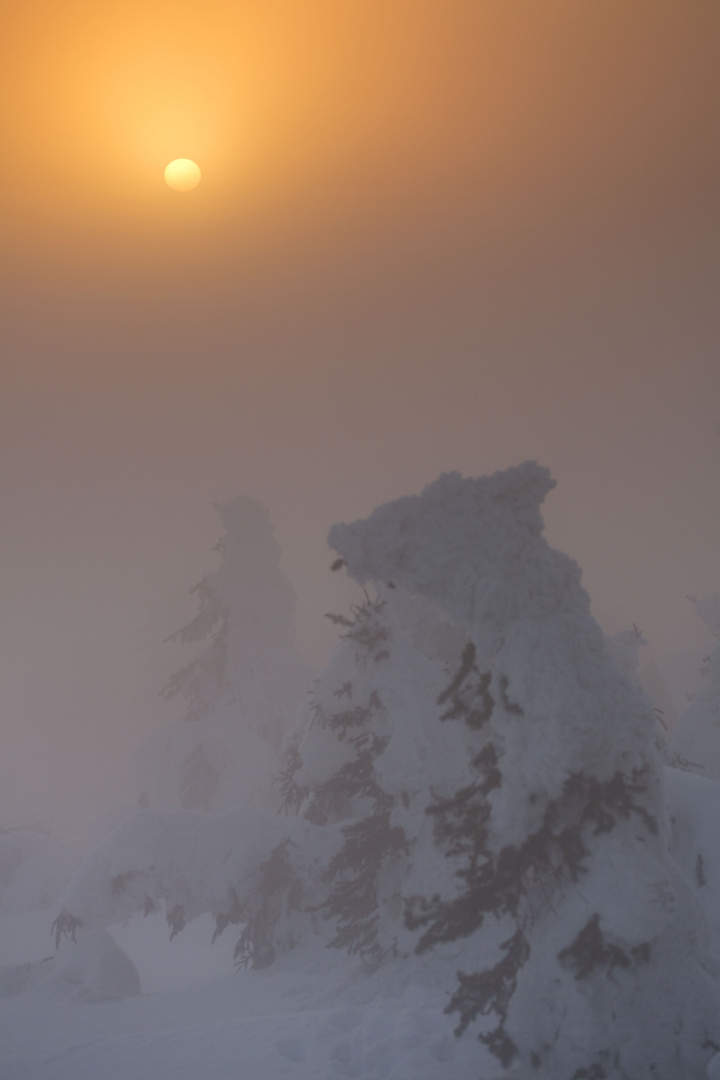 ***28.02.13 Sonnenuntergang auf dem Keilberg II***