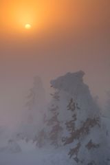 ***28.02.13 Sonnenuntergang auf dem Keilberg II***