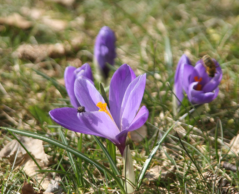 28.03.09 - Erste Frühlingsgefühle