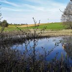 28.04.2020 Schwimmeinstieg  mit Spiegelungen