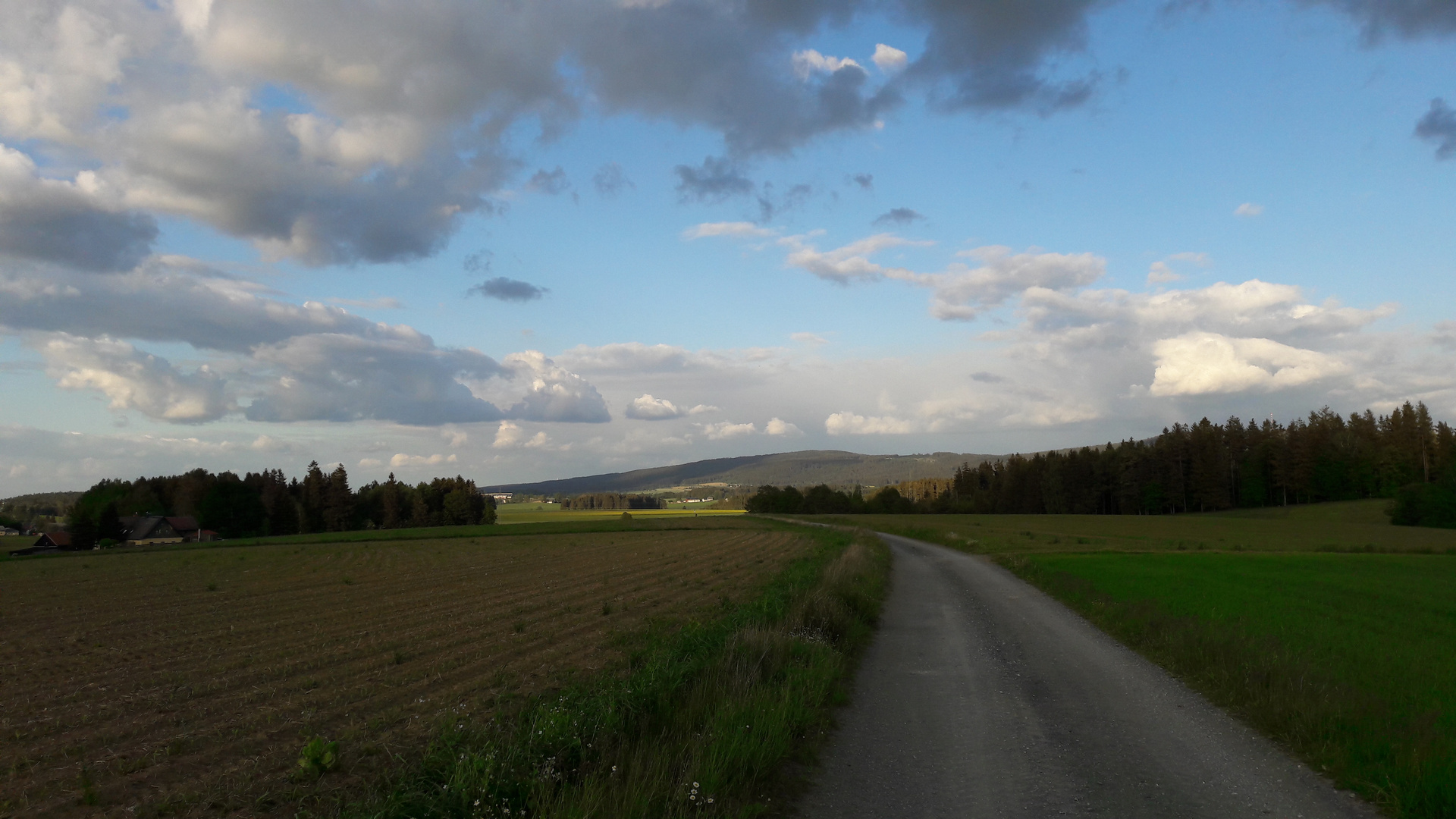 28.05.2020 Abendspaziergang im Wolkenschatten