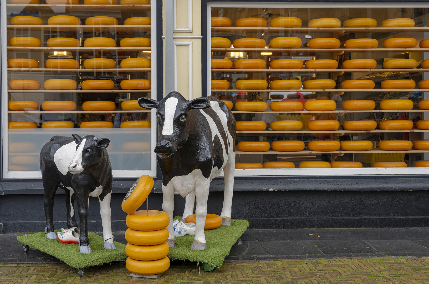 2808TZ Käse aus Holland mit Milchkühen