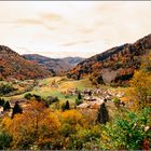 2834 Herbst im Scharzwald 