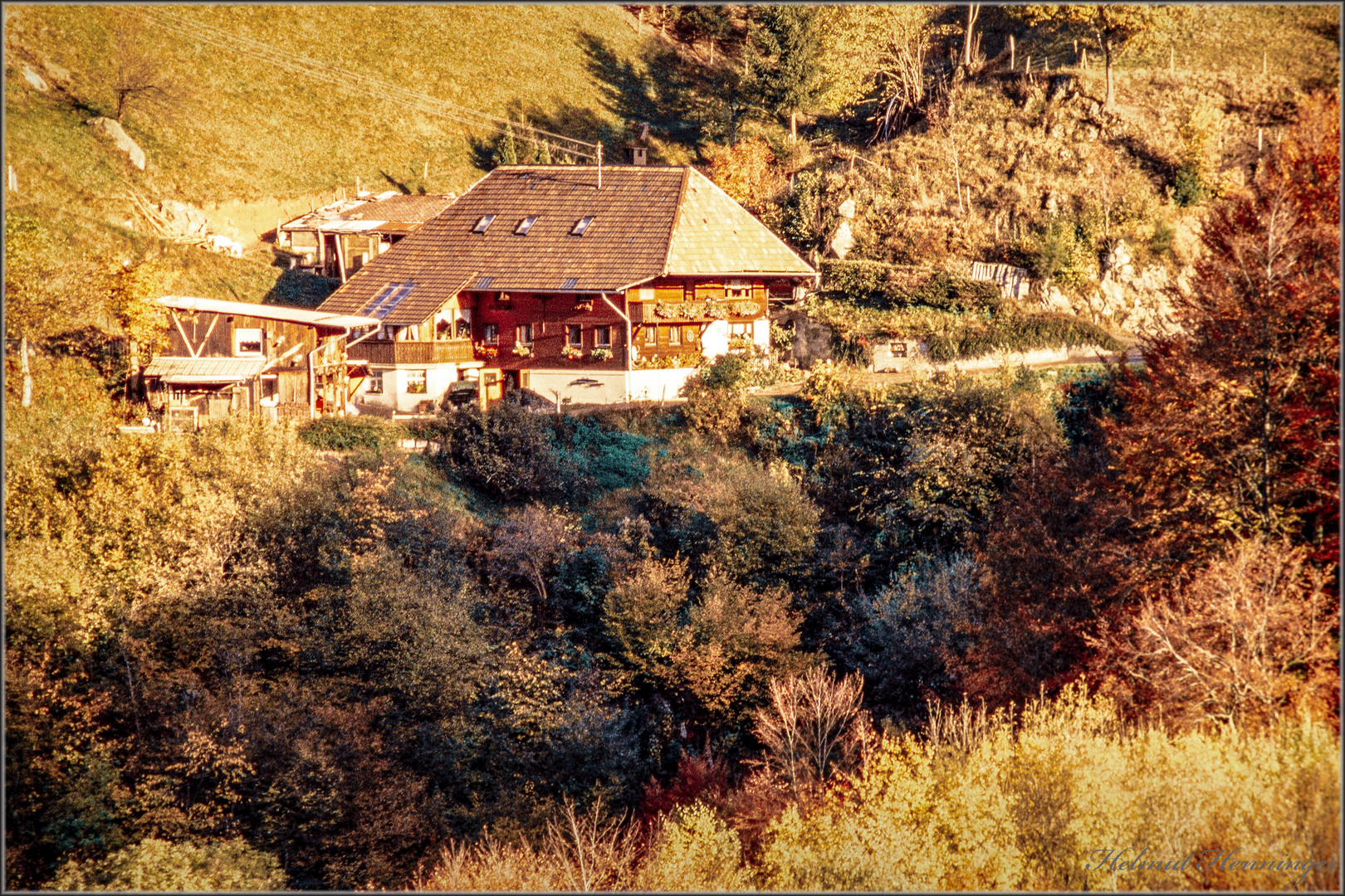 2840 Herbst im Scharzwald 