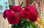 Red Roses for a Lady by photorolandi