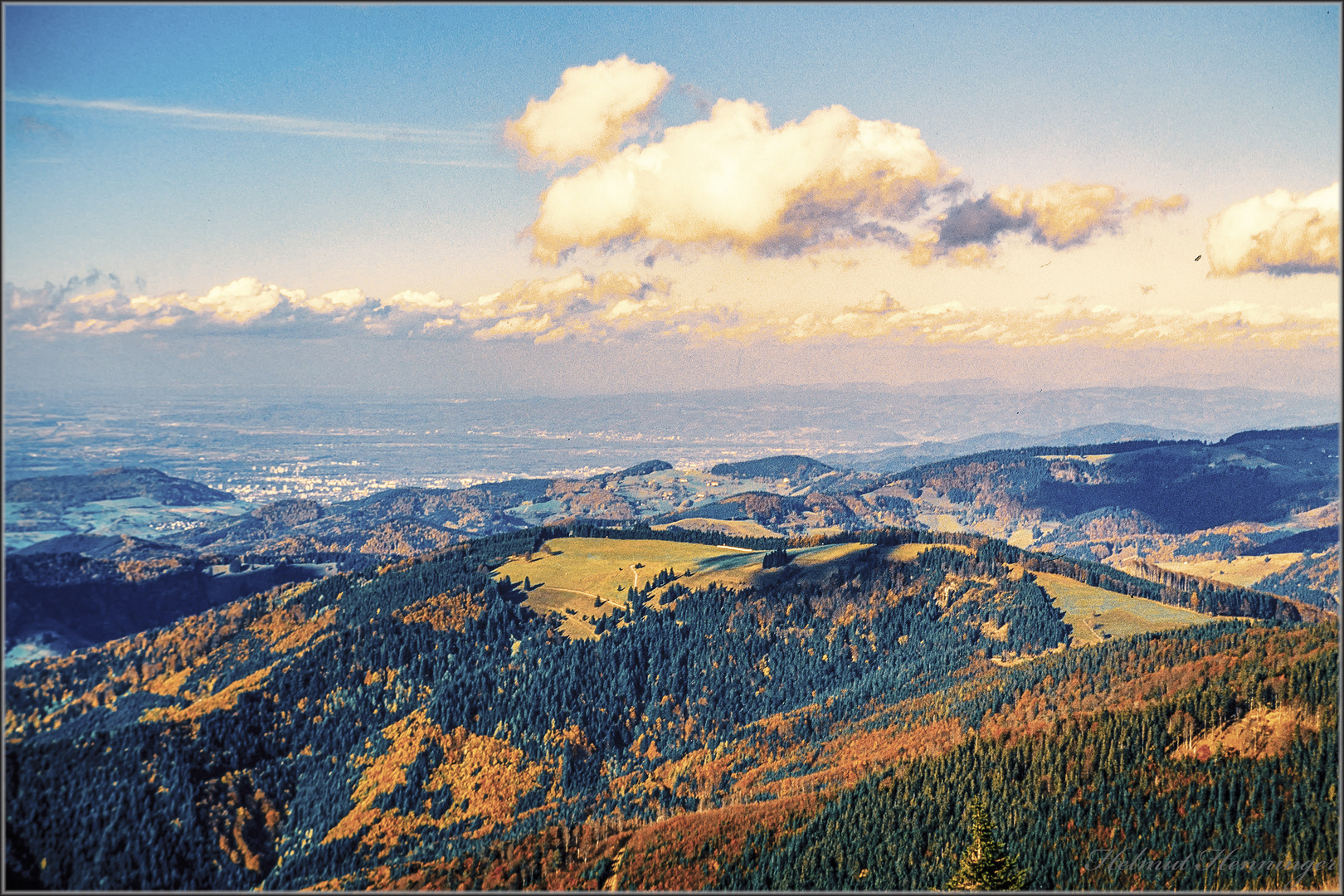 2846 Herbst im Scharzwald 