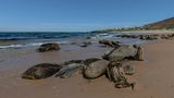 Dugort strand on a perfect day von Paddy Timm