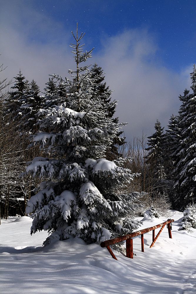 endlich winter von stani_fotos