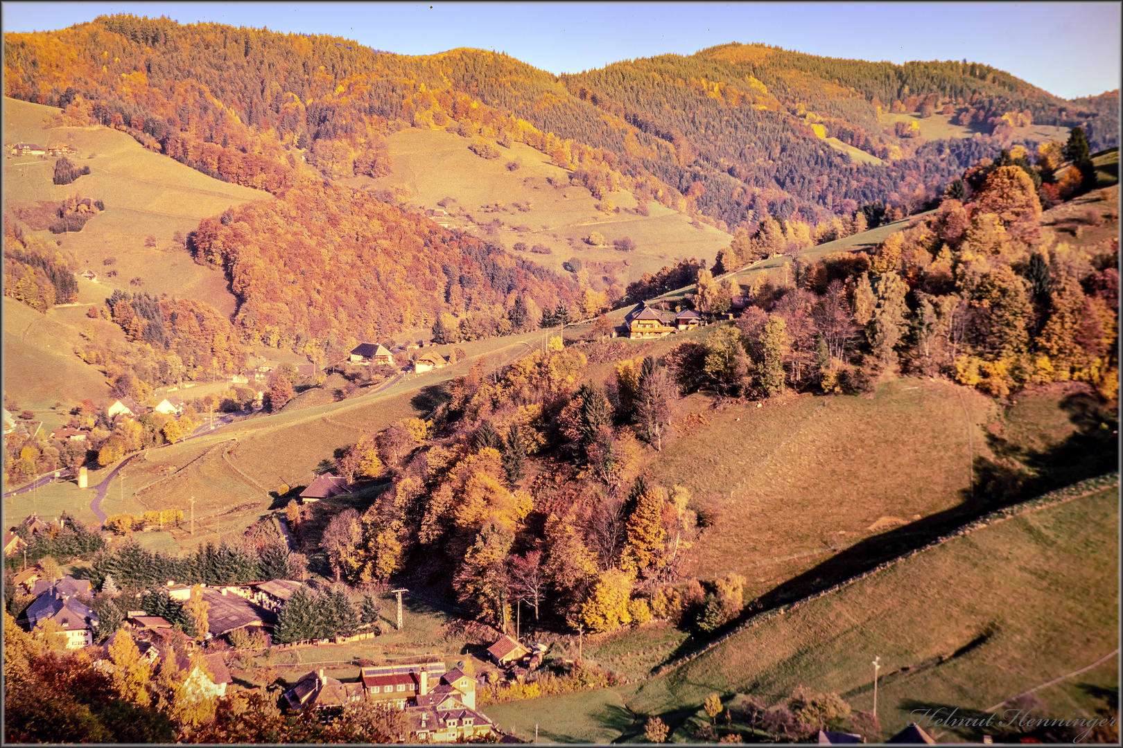 2866 Herbst im Scharzwald 