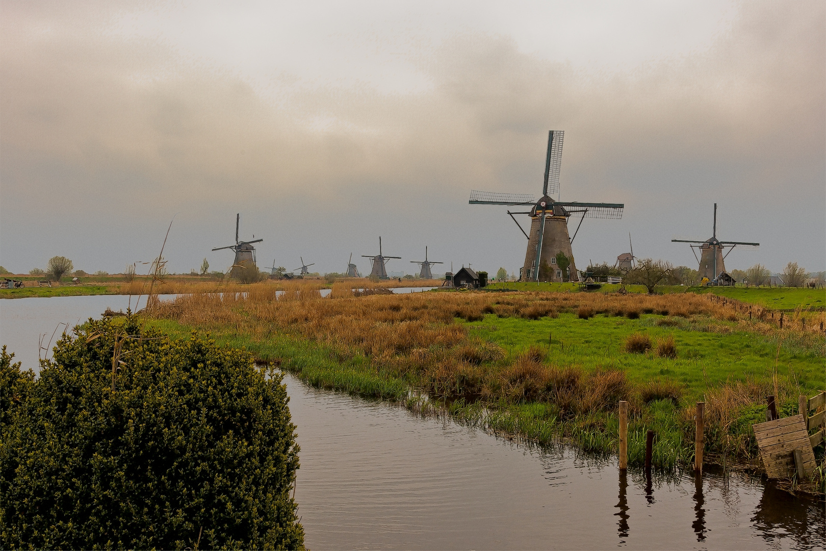 286B7981-2 D3 - Kinderdijk