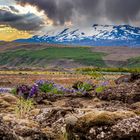 2887B Lichtstimmung Hekla Island