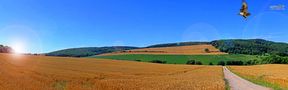 -Der Sommertag im Herbst- von Alexander Ried 