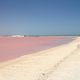 Pink Sea