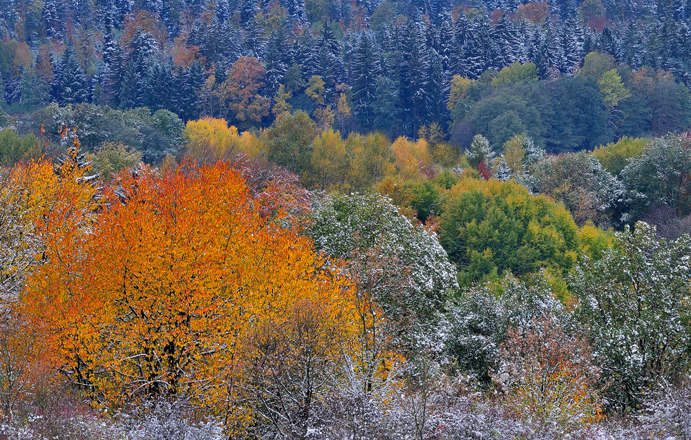 28.Oktober