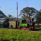  29 jüngste Schmalspur Lok in Indonesien zu einer Rundfahrt durch die juni 2014
