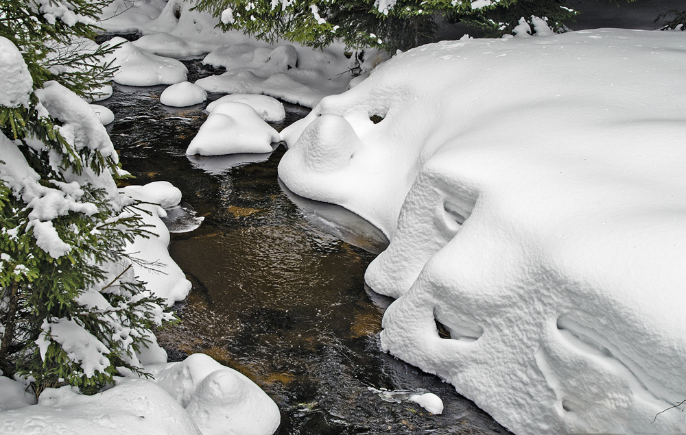 (29) Winterspaziergang...