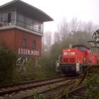 290 037 in der Natur in Essen Nord