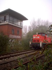 290 037 in der Natur in Essen Nord