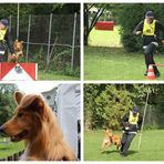 29.05.24 ## Yuma Turnierhundesport - Bilderserie einer Tätigkeit ##