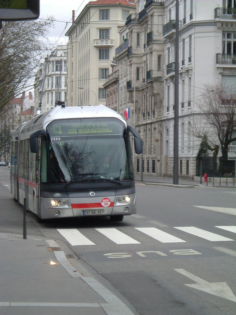 2906 devant la Perc de la Tête d'Or