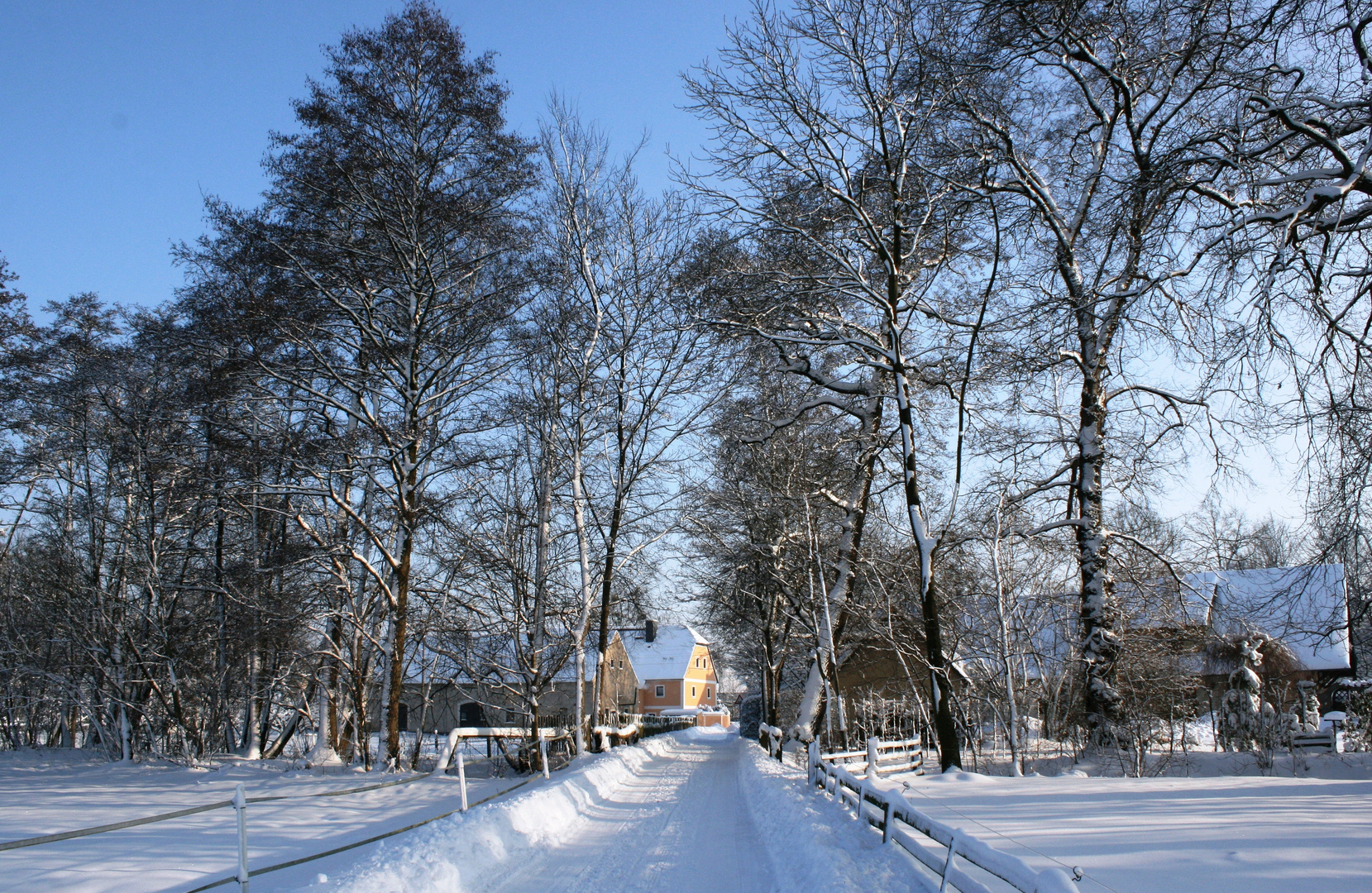 29.12.2010- Ein sonniger Wintertag bei uns zu Hause