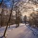 zugefrorende Spree/frozen River Spree