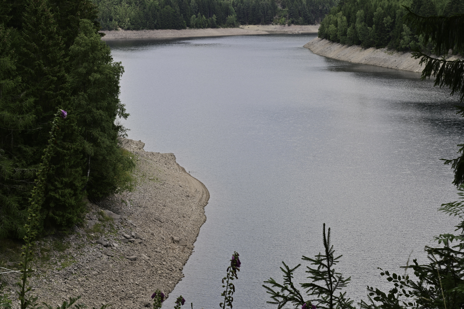 293 Vorsperrenarm Silbergrund (unbearbeitet)