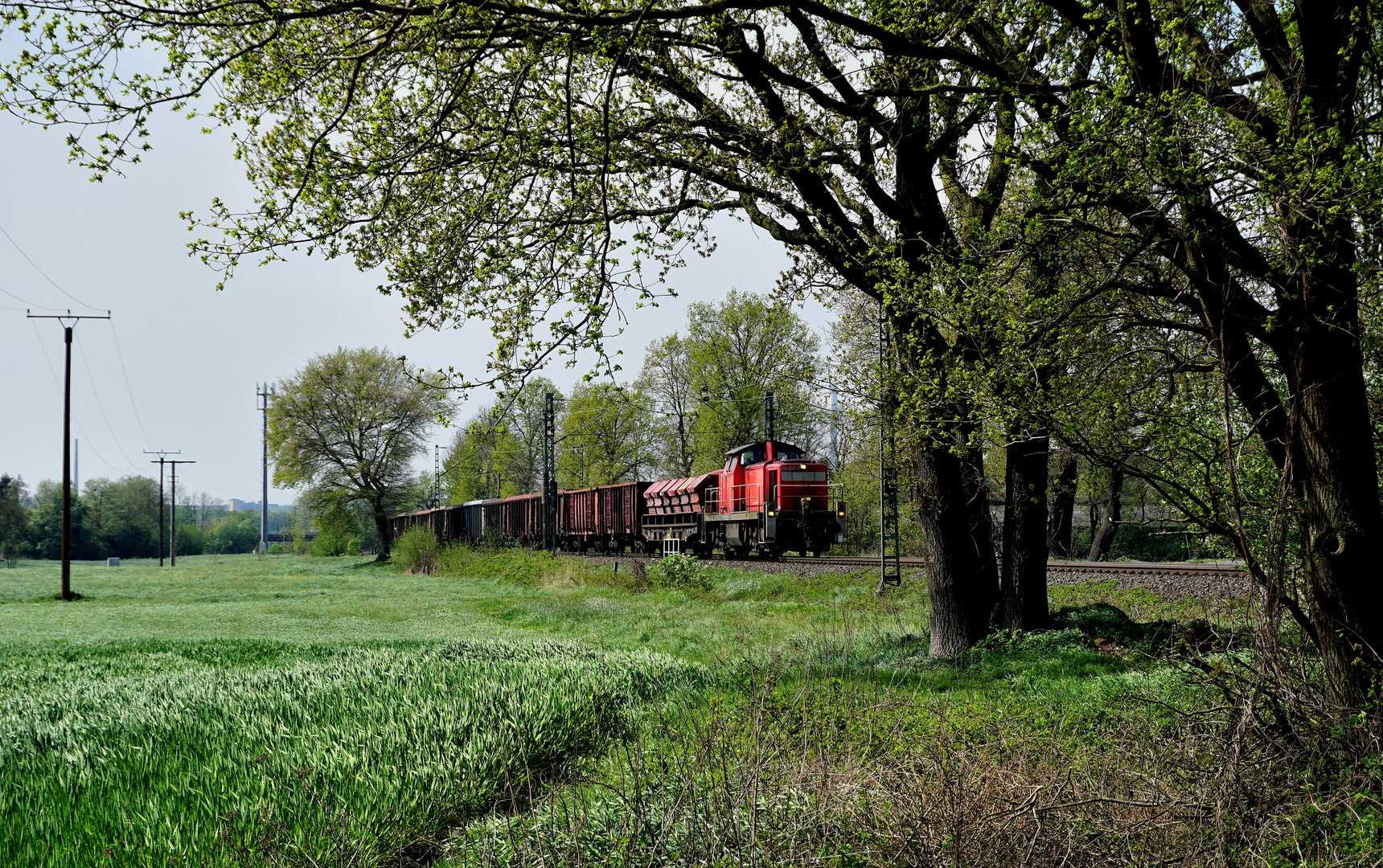 294 600-2 mit Container am 23.04.19 in Hamm Neustadt