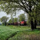 294 600-2 mit Container am 23.04.19 in Hamm Neustadt