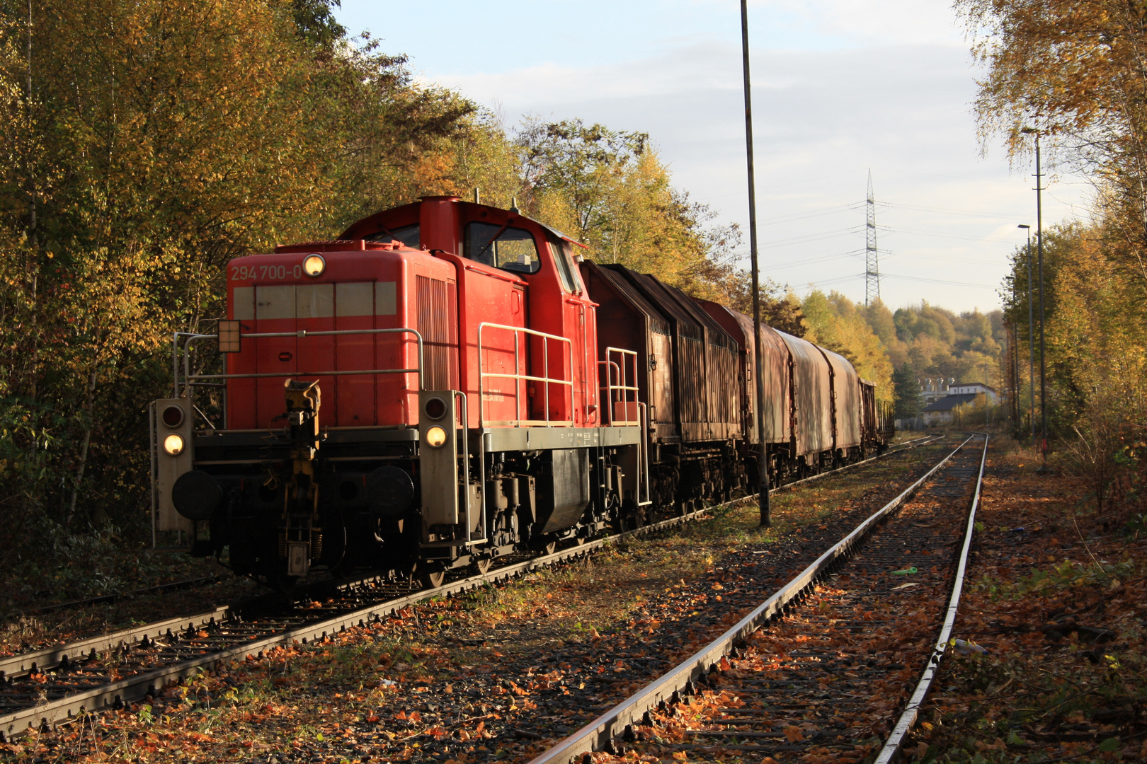 294 700 im Herbst in Essen-Vogelheim