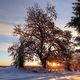 Sonnenaufgang im Harz