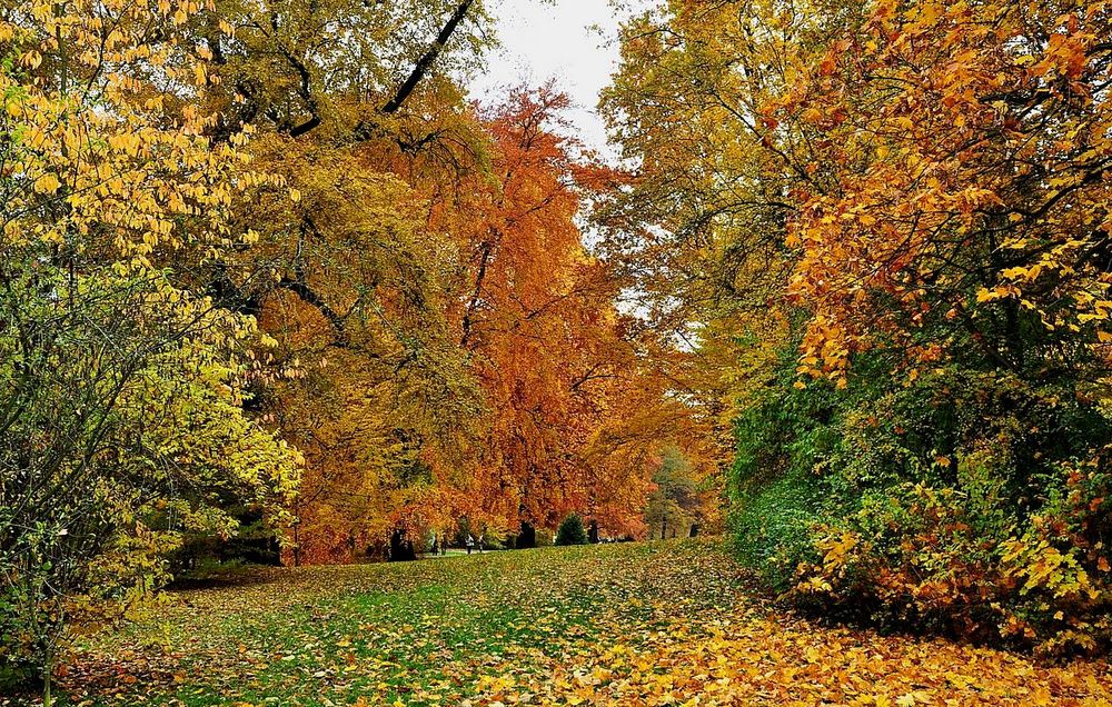 Im Fürst Pückler Park Bad Muskau von Gerhard23