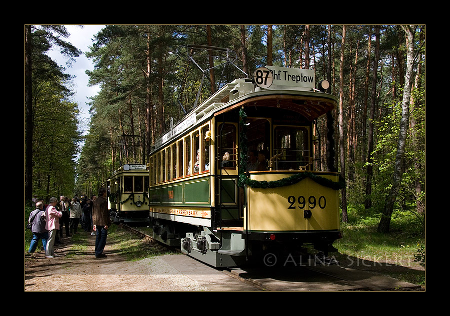 2990 im Wald