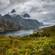 Lofoten Landscape