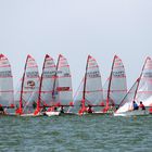 29er Segelregatta, An der Startlinie