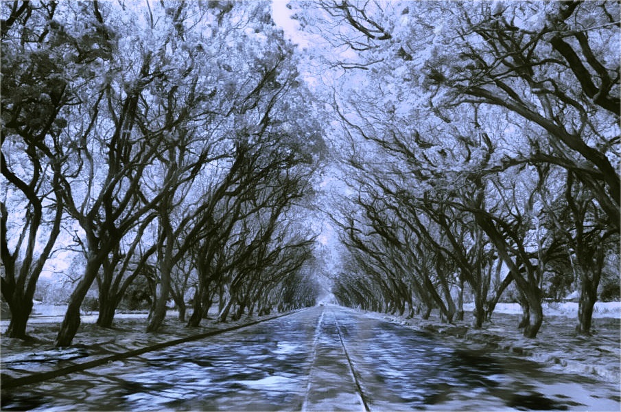 _2a21  __WINTER AVENUE__