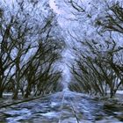 _2a21  __WINTER AVENUE__