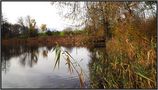 Noch sieht der Herbst.... by Cécile Fischer 