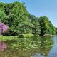 Im Schlosspark Essen-Borbeck