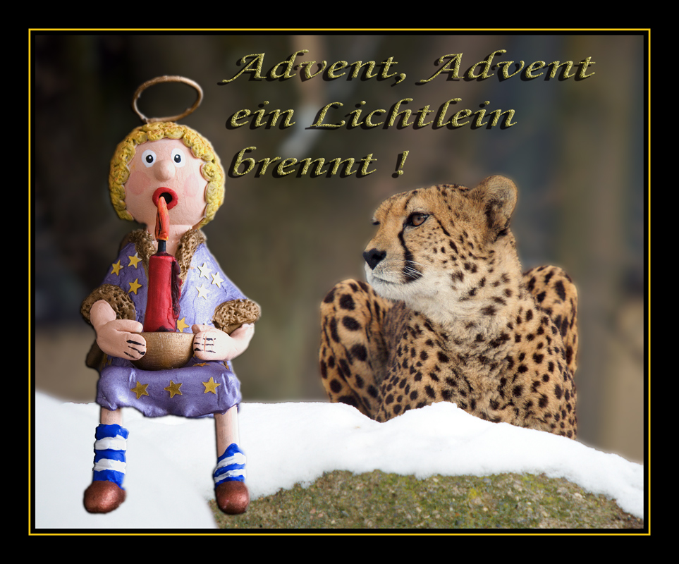 2.Advent