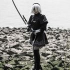 2B 237