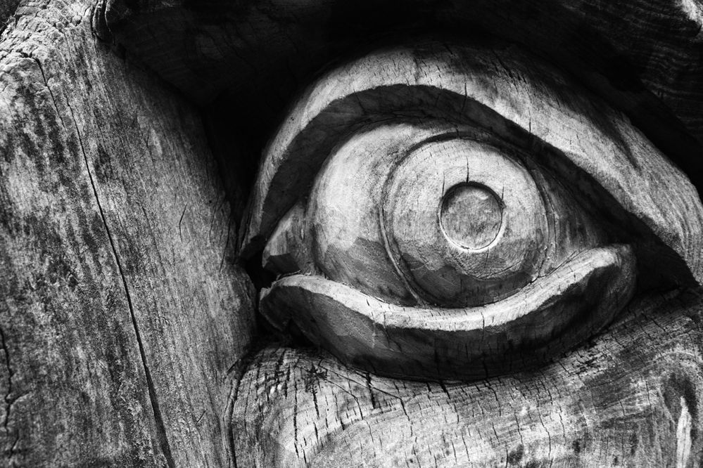 Eye of the Ent von Meritamun 