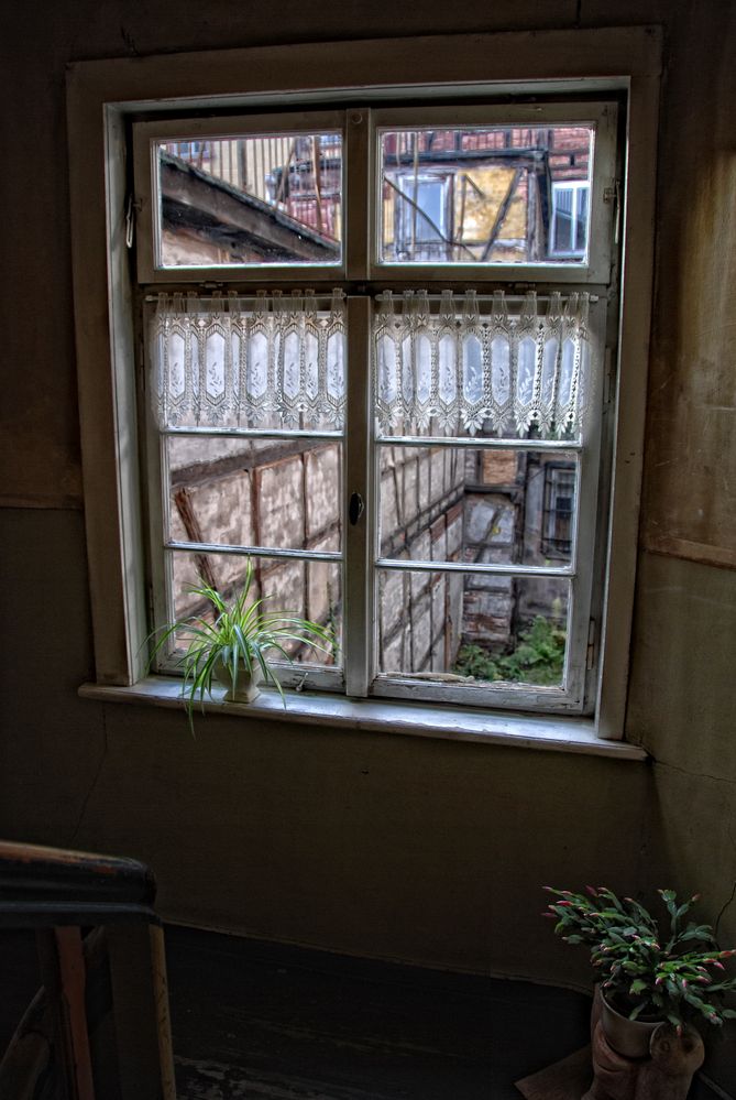 Fenster zum Hof von OliS 