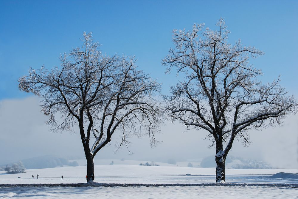 als ein Winter noch ein Winter war von Helama