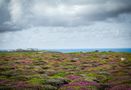 Lands End Cornwall by rpahlke