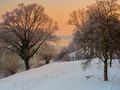 Blick von der Staatsbrücke bei -12 Grad by Manfred Fiedler